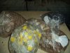 dsc01875mi.jpg