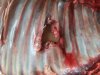 100_3540.JPG
