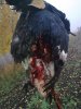 IMG_20160321_143955_34.jpg