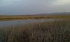 20160312_071836.jpg
