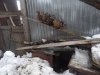 DSCF2323.JPG