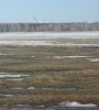 IMG_2594~2.jpg
