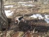 IMG_2571.JPG