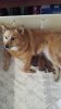 20160409_151834.jpg