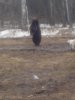 IMG_20160409_131041.jpg