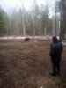 IMG_20160409_124209.jpg