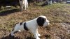 20160419_090803.jpg