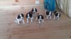20160419_091406.jpg