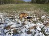 20160509_095518.jpg
