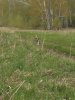 20160509_134433.jpg