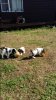 20160506_091135.jpg