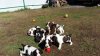 20160506_091722.jpg
