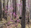 IMG_4546.JPG