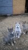 WP_20160508_19_30_54_Pro.jpg