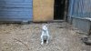 WP_20160513_12_20_20_Pro.jpg