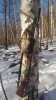 P_20160225_161323.jpg
