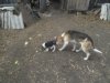 DSCF2747.JPG