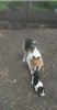 DSCF27400.jpg