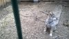 WP_20160524_06_58_15_Pro.jpg
