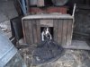 DSCF2762.JPG