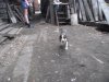 DSCF2754.JPG