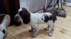 20160602_184726.jpg