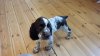 20160602_184143.jpg