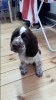 20160602_184529.jpg