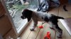 20160602_184056.jpg
