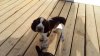 20160602_184852.jpg