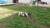 20160602_184955.jpg