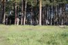 IMG_0724.JPG