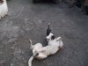 DSCF2786.JPG