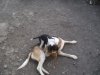 DSCF2787.JPG