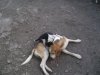 DSCF2788.JPG
