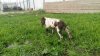 20160613_195856.jpg