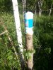 IMG-20160617-WA0010.jpg