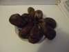 DSC01746.JPG