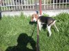 IMG-20160601-WA0002.jpg