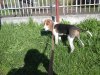 IMG-20160601-WA0001.jpg