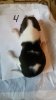 IMG-20160222-WA0005.jpg