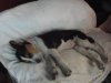 DSCF2780.JPG
