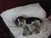 DSCF2781.JPG