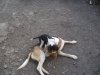 DSCF2787.JPG