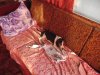 DSCF2791.JPG