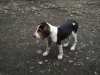 DSCF2818.JPG