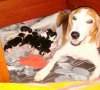 IMG-20160717-WA0004.jpg