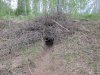 IMG_0305.JPG