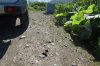 20.07.16г 034.jpg