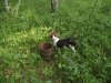 DSCF2866.JPG